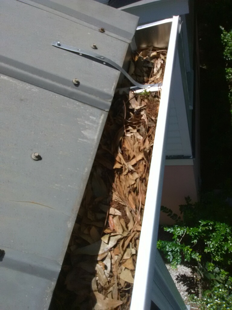 A picture of Do I Need to Maintain My Gutters in Dry Weather? with Holy City Gutterworks