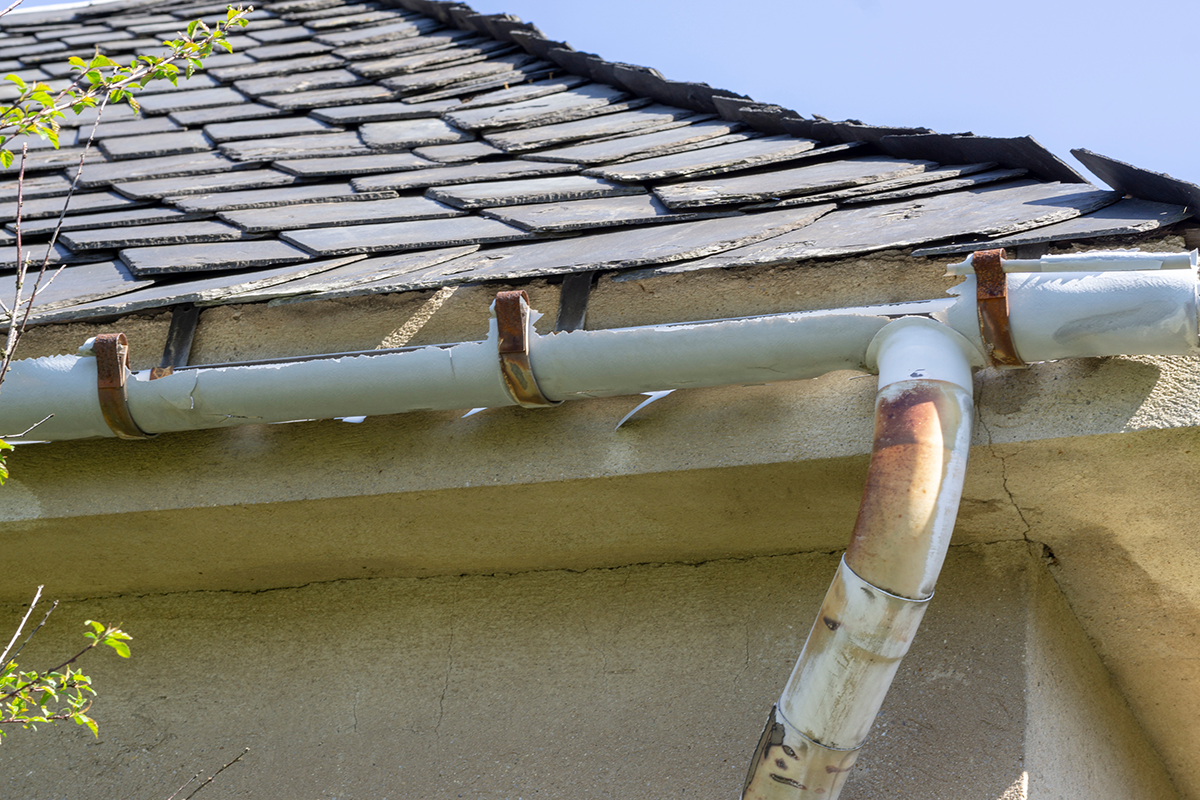 A picture of 7 Signs You Need New Rain Gutters with Holy City Gutterworks