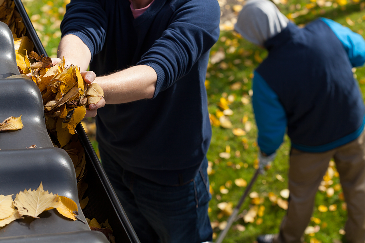 A picture of When is it Time to Replace Gutters? Let's Take A Look with Holy City Gutterworks