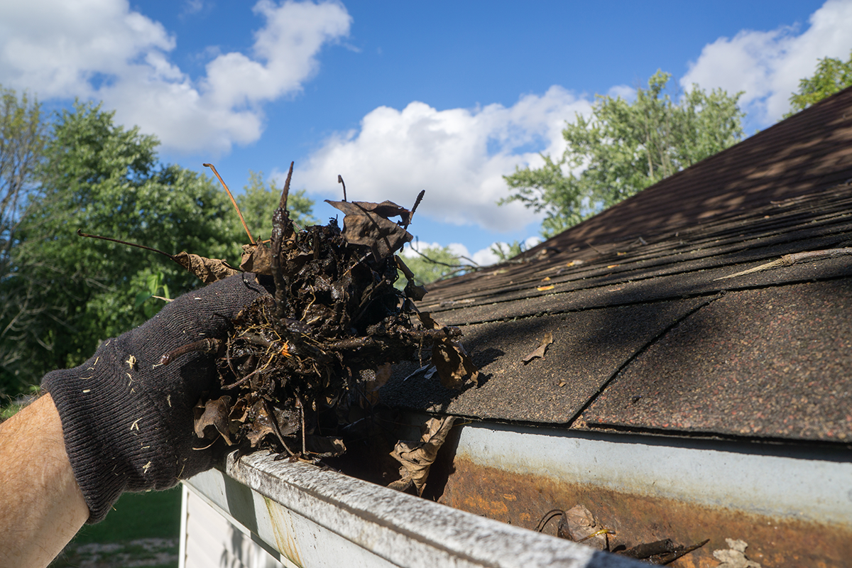 A picture of 3 Common Causes of Leaking Gutters with Holy City Gutterworks