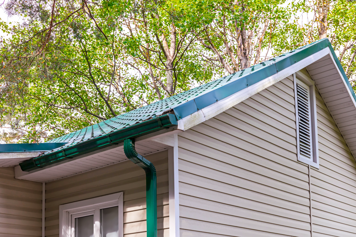 A picture of Understanding Gutters in Charleston: A Local's Guide with Holy City Gutterworks