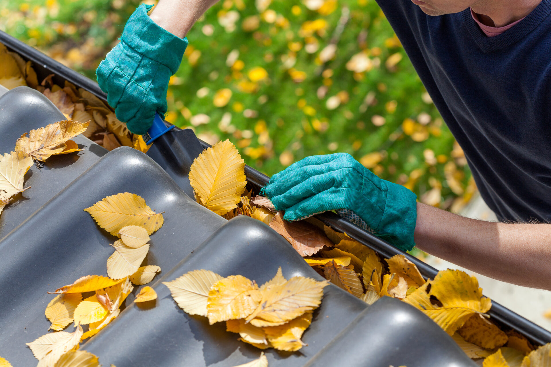 Man cleaning out leaves from residential gutters in fall in Charleston