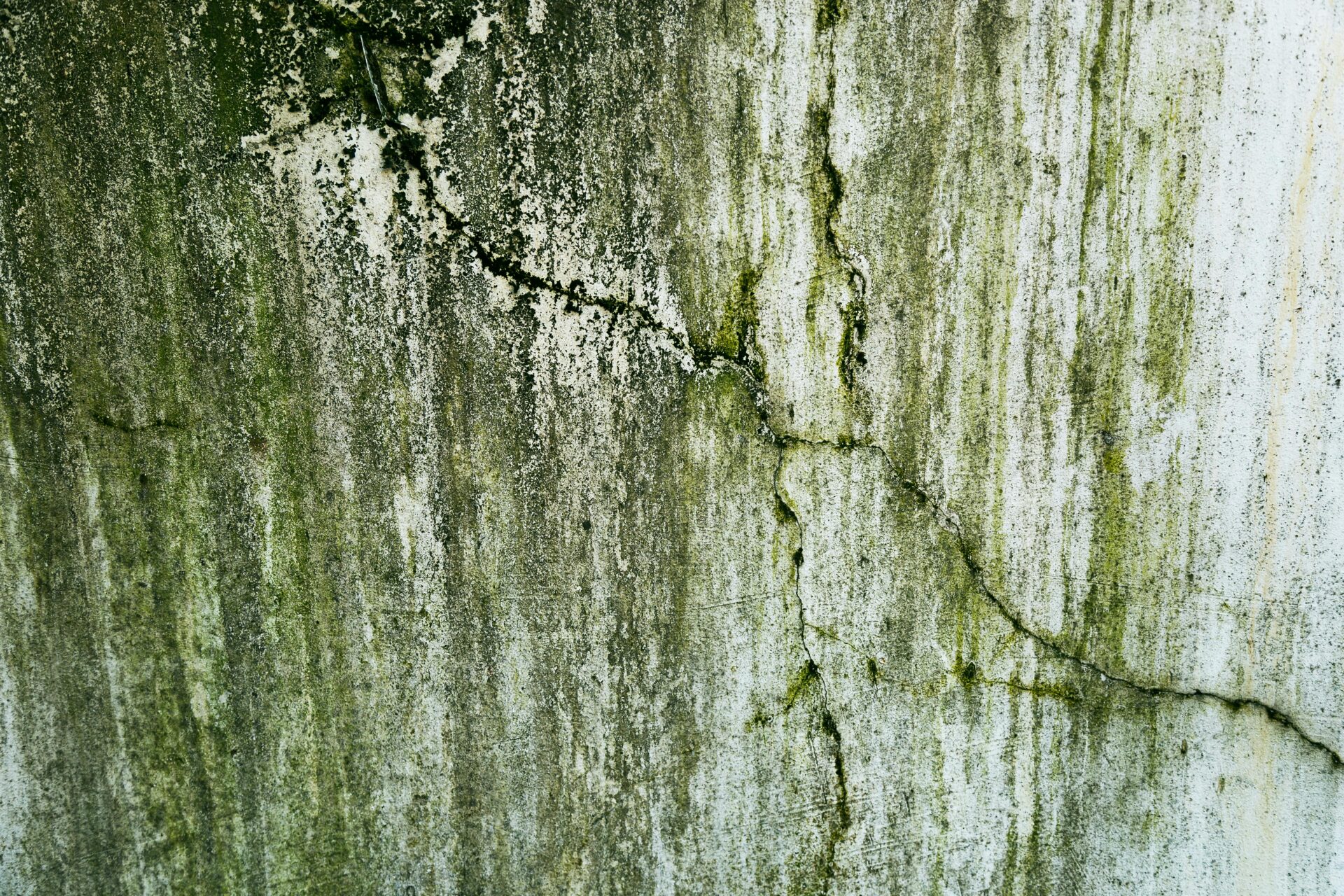 Molded and cracked foundation caused by water damage.