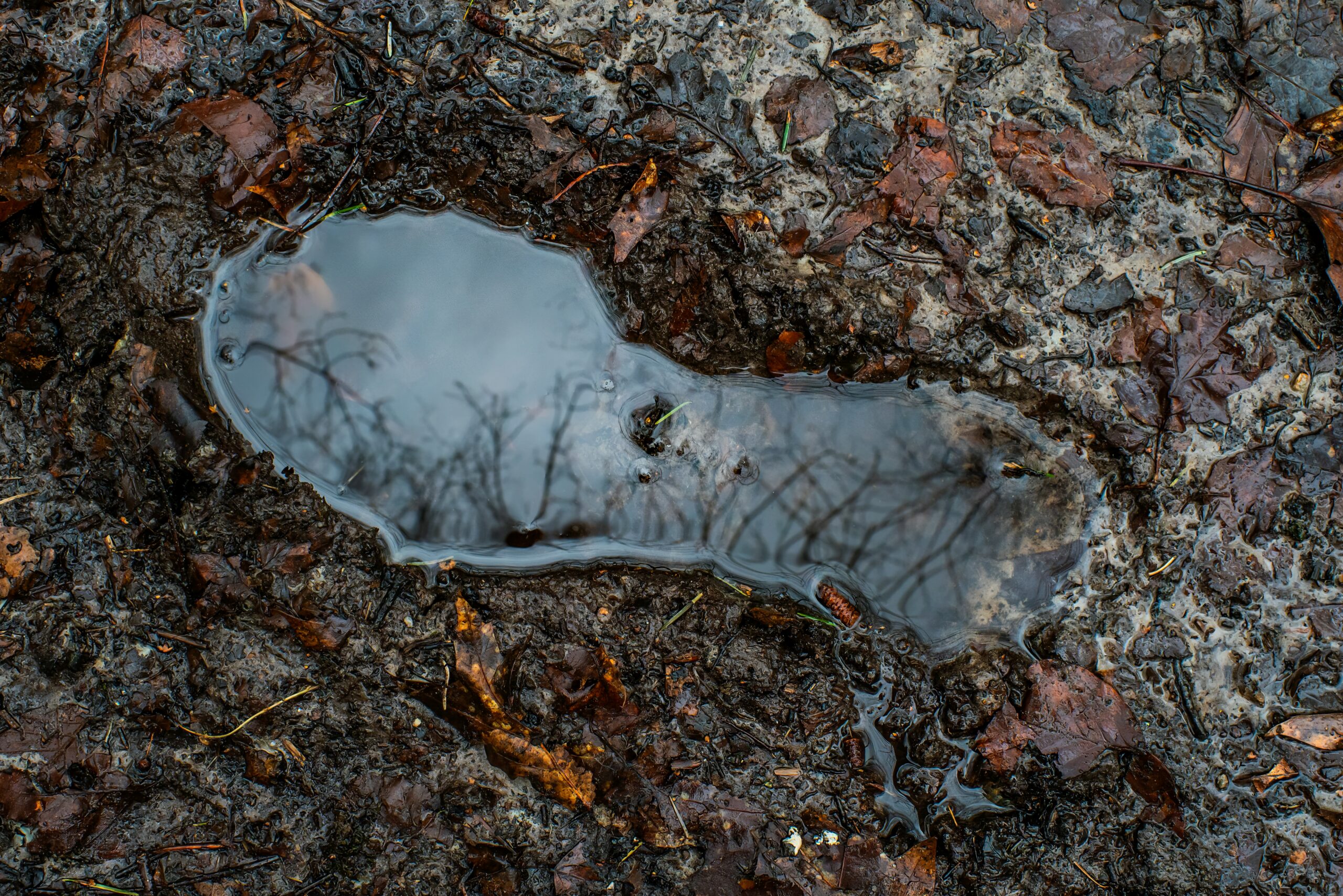 Muddy ground caused by drainage issue and damaged gutters